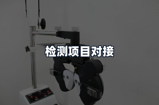 检测项目对接